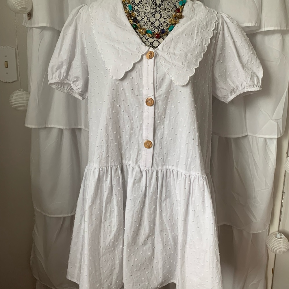 Zara Dotted Mesh Poplin White Cutwork Embroidered Collared  Mini Dress. M